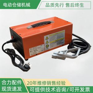 Sạc xe nâng SWCH24V30A
