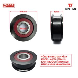 Vòng bi xích 55x160x52H